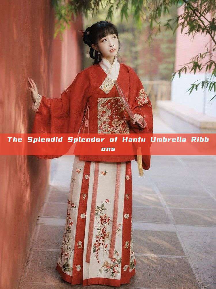 The Splendid Splendor of Hanfu Umbrella Ribbons The Splendid Splendor of Hanfu Umbrella Ribbons