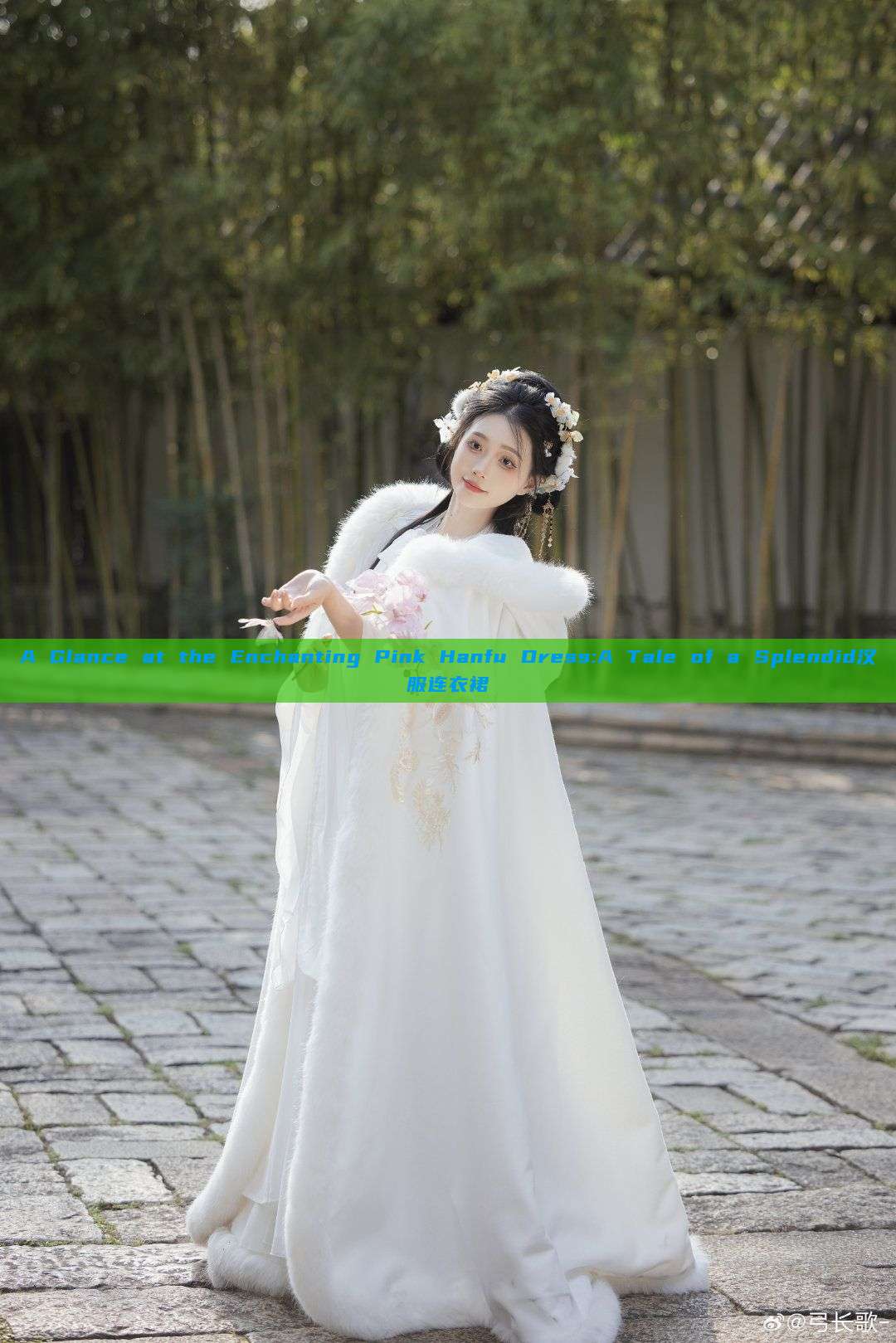 A Glance at the Enchanting Pink Hanfu Dress:A Tale of a Splendid汉服连衣裙 A Glance at the Enchanting Pink Hanfu Dress:A Tale of a Splendid汉服连衣裙