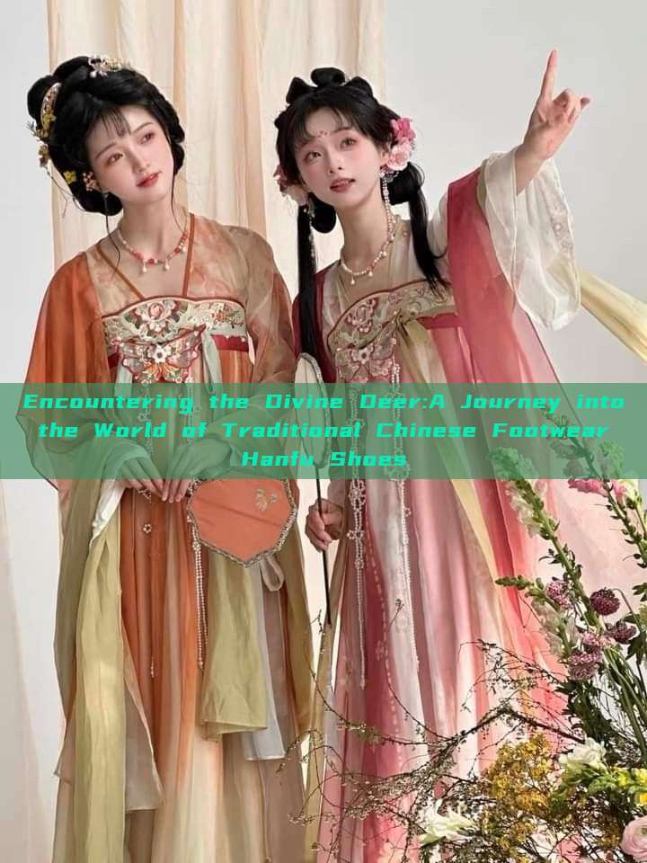 Encountering the Divine Deer:A Journey into the World of Traditional Chinese Footwear Hanfu Shoes Encountering the Divine Deer:A Journey into the World of Traditional Chinese Footwear Hanfu Shoes