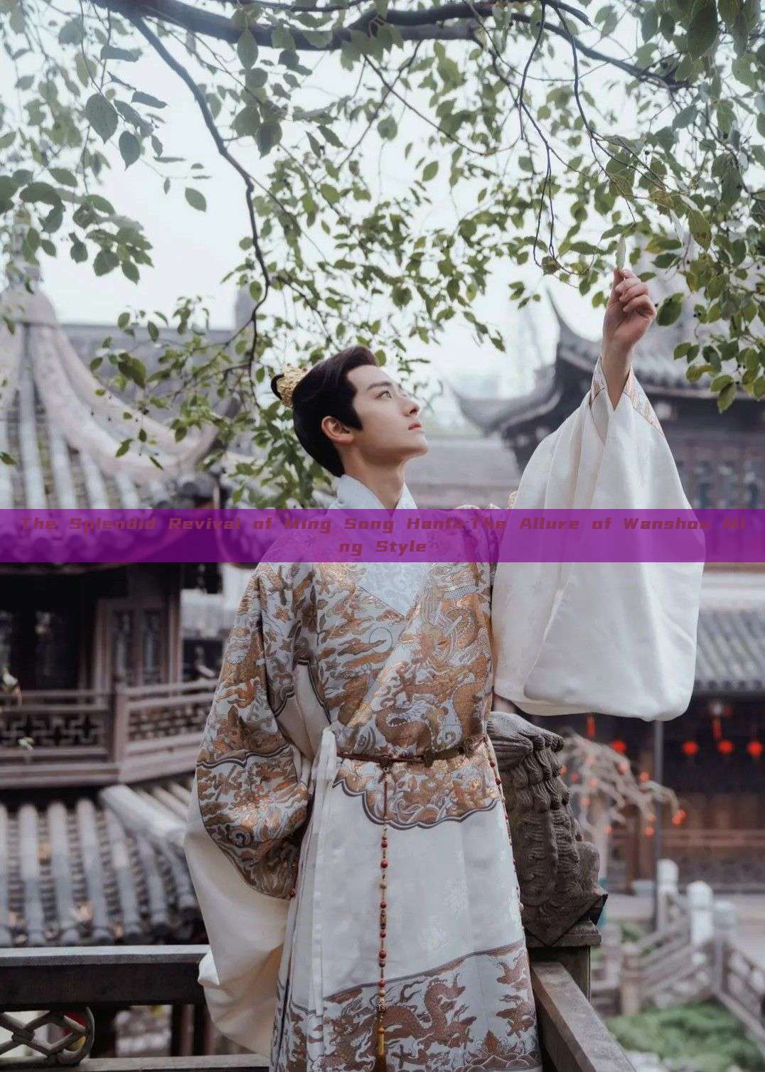 The Splendid Revival of Ming Song Hanfu:The Allure of Wanshou Ming Style The Splendid Revival of Ming Song Hanfu:The Allure of Wanshou Ming Style