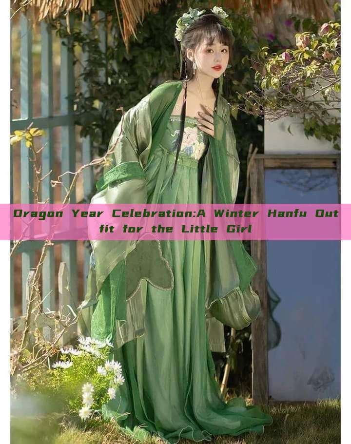 Dragon Year Celebration:A Winter Hanfu Outfit for the Little Girl Dragon Year Celebration:A Winter Hanfu Outfit for the Little Girl