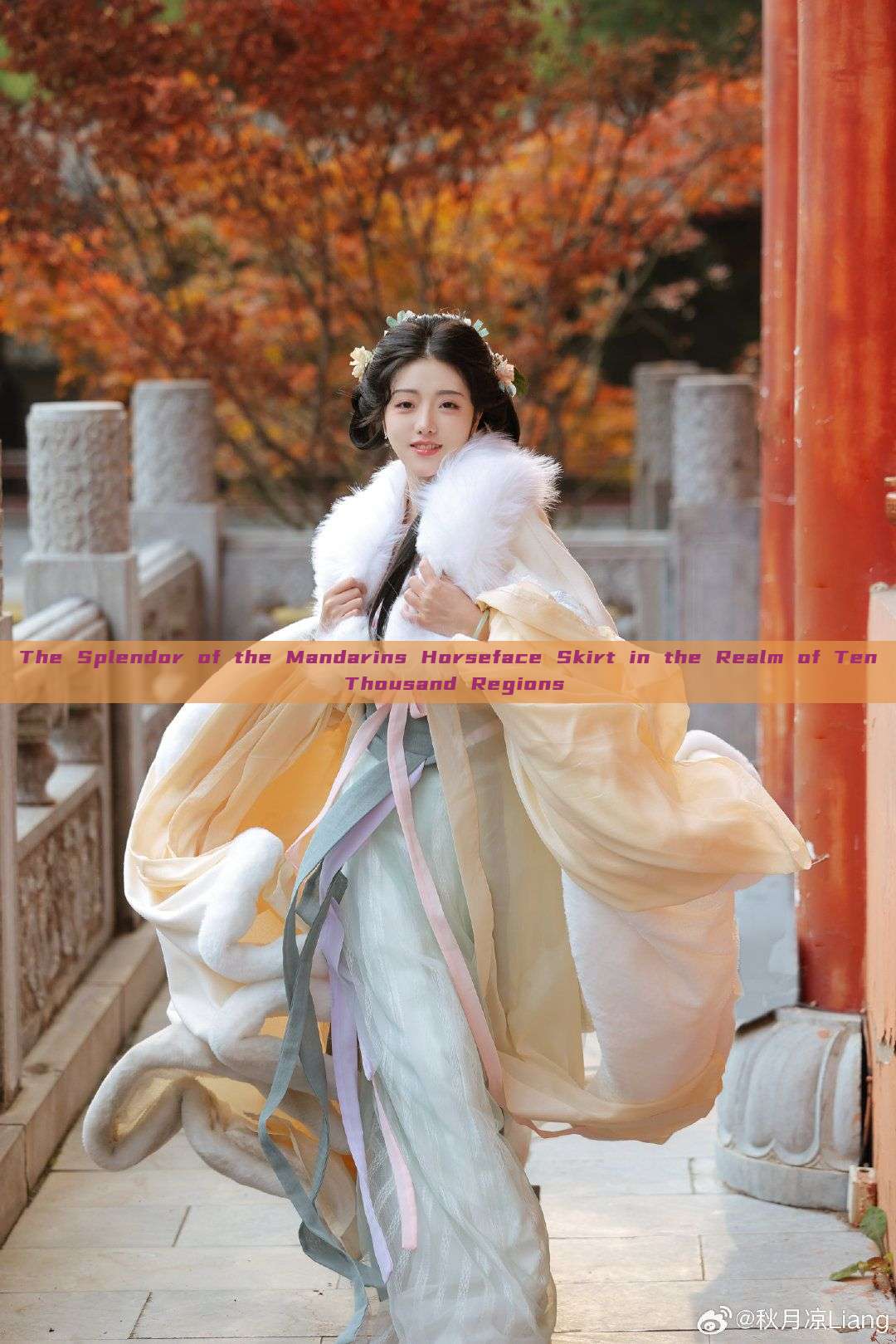 The Splendor of the Mandarins Horseface Skirt in the Realm of Ten Thousand Regions The Splendor of the Mandarins Horseface Skirt in the Realm of Ten Thousand Regions