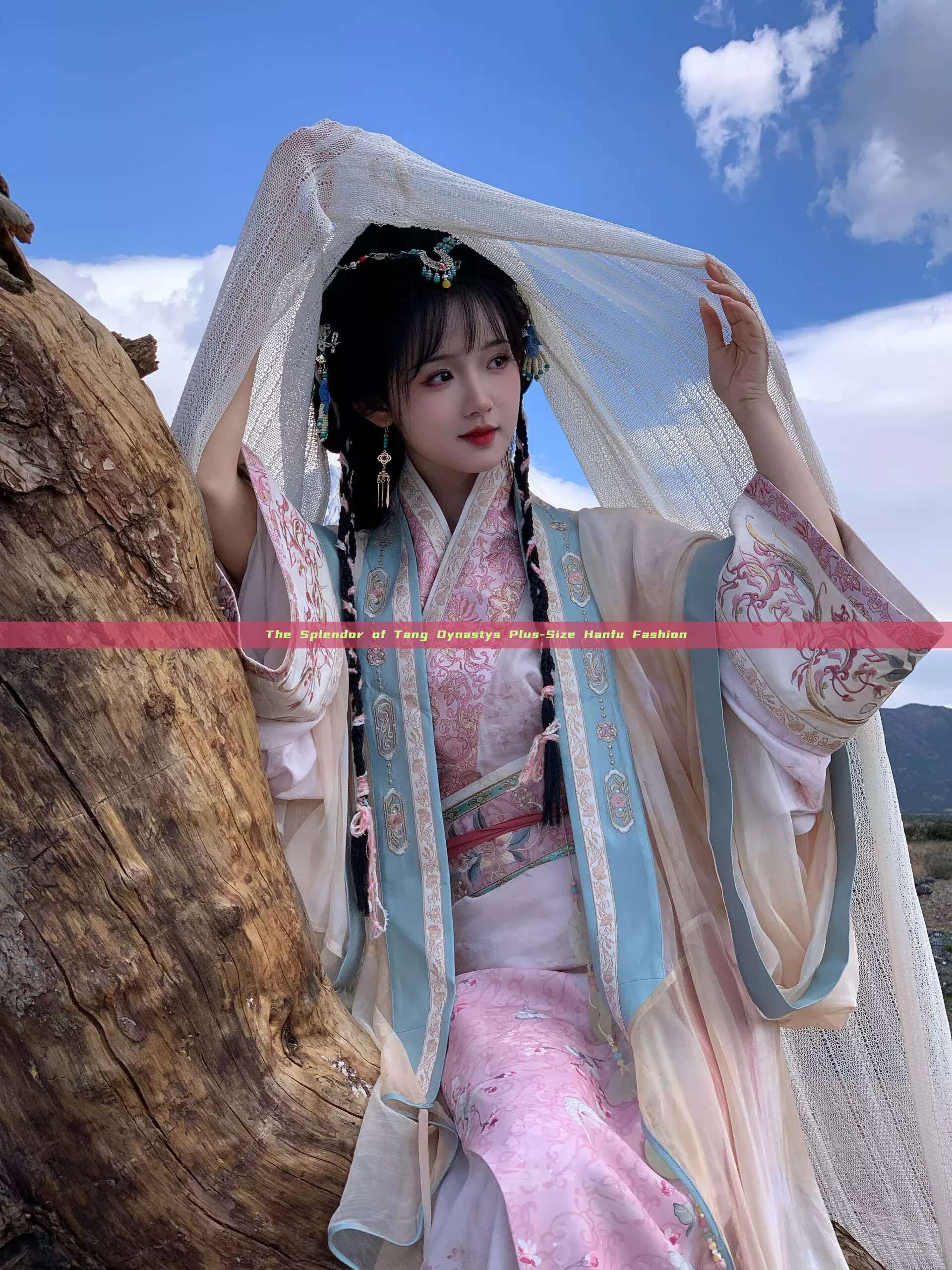The Splendor of Tang Dynastys Plus-Size Hanfu Fashion