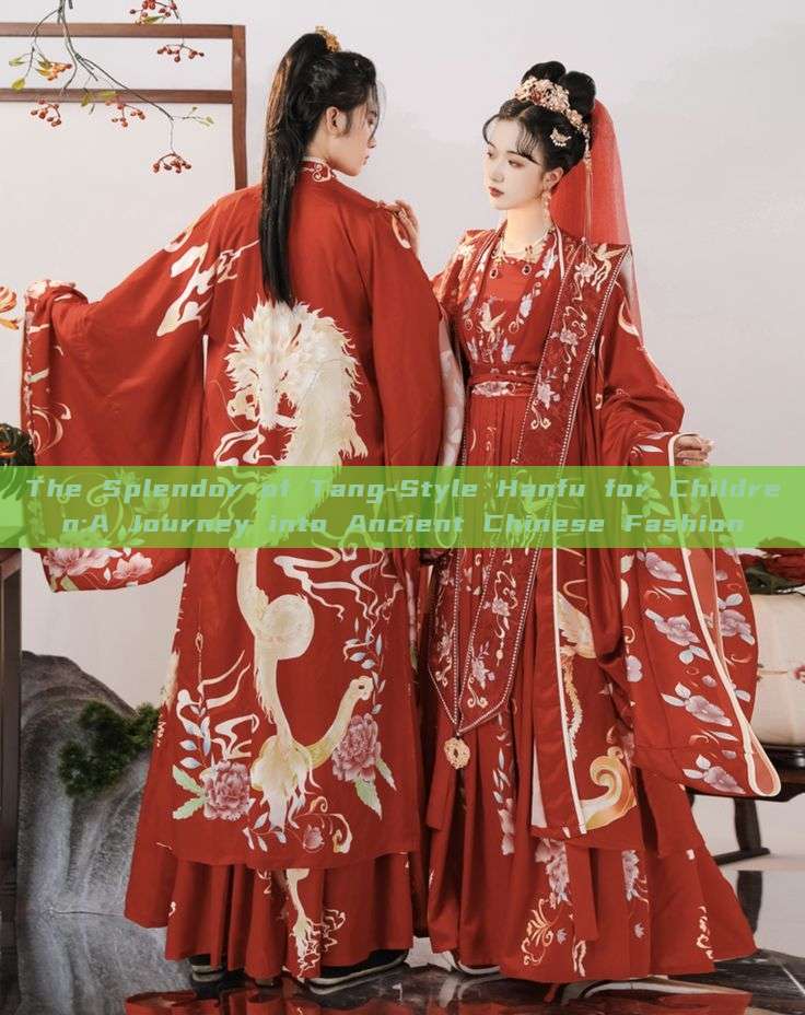 The Splendor of Tang-Style Hanfu for Children:A Journey into Ancient Chinese Fashion The Splendor of Tang-Style Hanfu for Children:A Journey into Ancient Chinese Fashion
