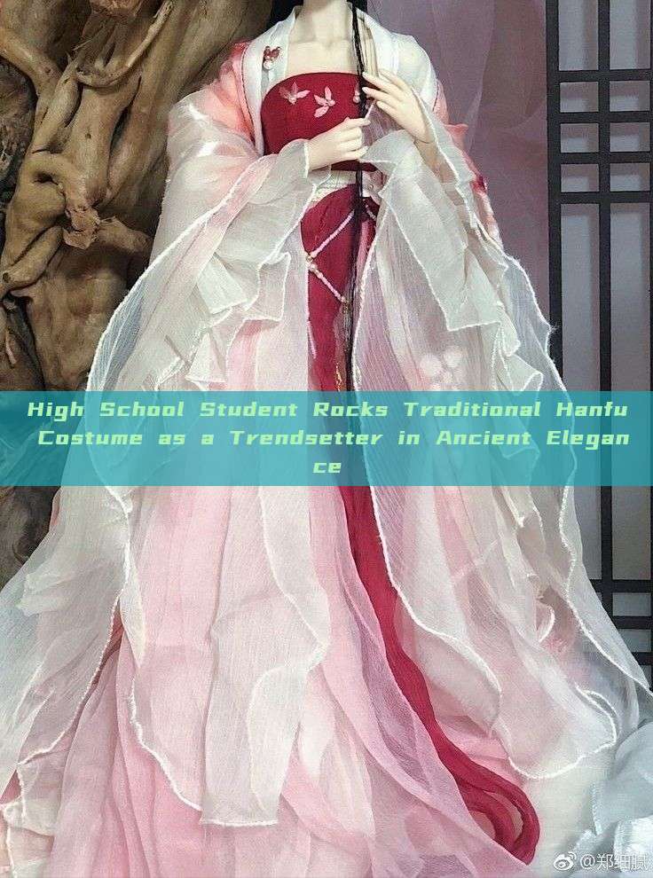 High School Student Rocks Traditional Hanfu Costume as a Trendsetter in Ancient Elegance High School Student Rocks Traditional Hanfu Costume as a Trendsetter in Ancient Elegance