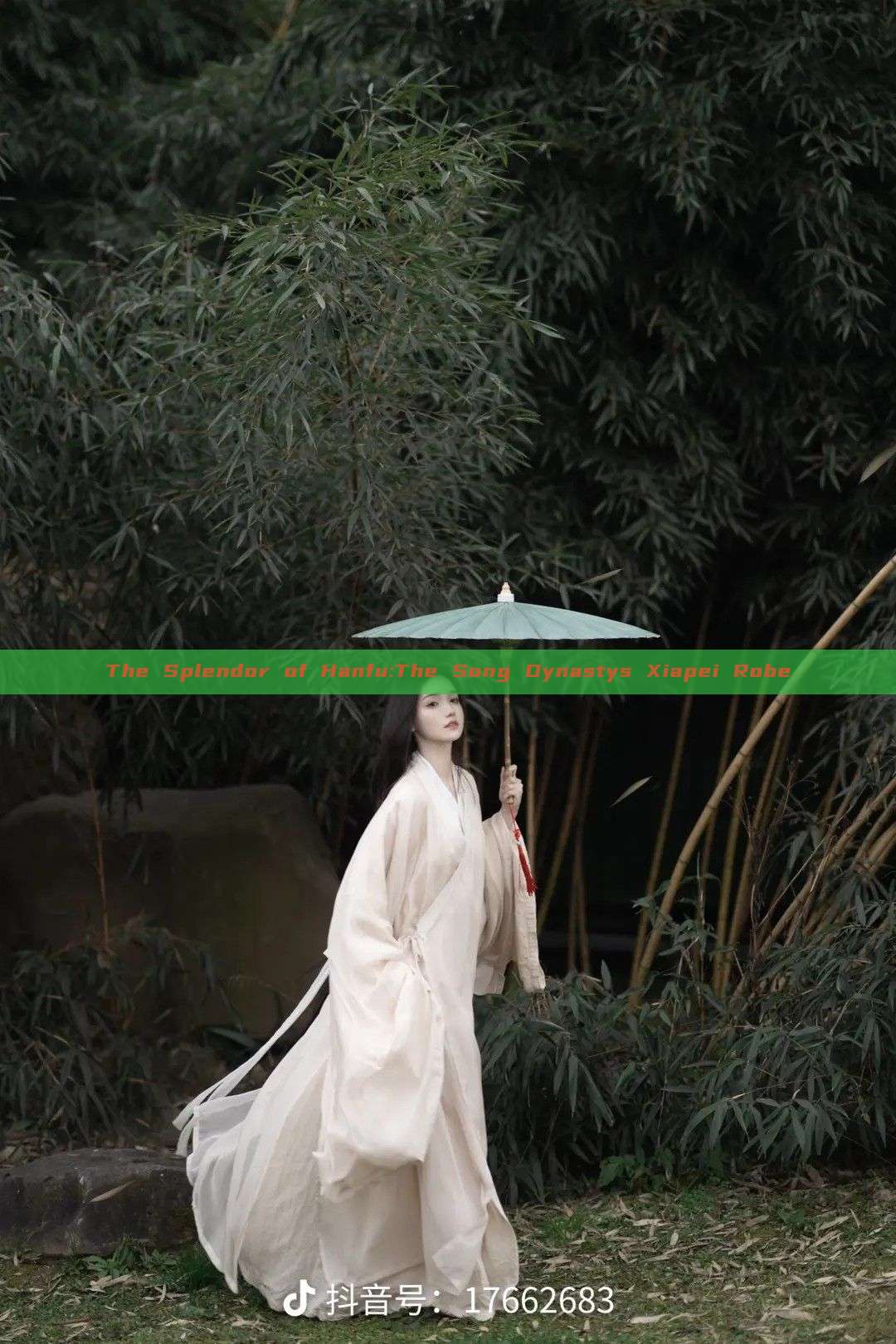 The Splendor of Hanfu:The Song Dynastys Xiapei Robe The Splendor of Hanfu:The Song Dynastys Xiapei Robe