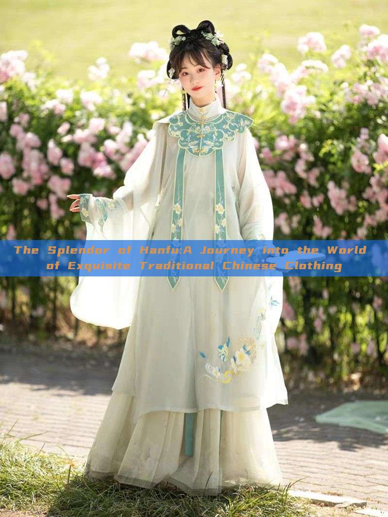 The Splendor of Hanfu:A Journey into the World of Exquisite Traditional Chinese Clothing The Splendor of Hanfu:A Journey into the World of Exquisite Traditional Chinese Clothing