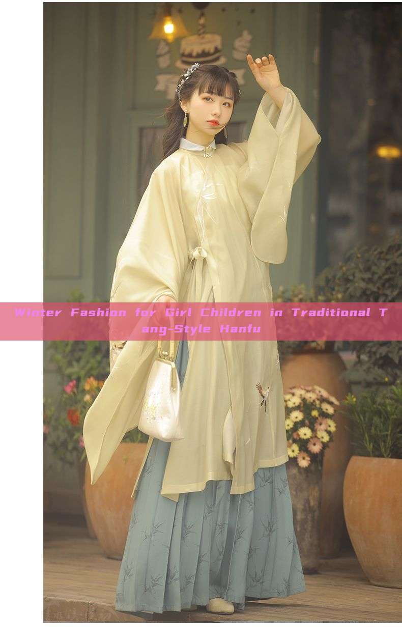 Winter Fashion for Girl Children in Traditional Tang-Style Hanfu Winter Fashion for Girl Children in Traditional Tang-Style Hanfu