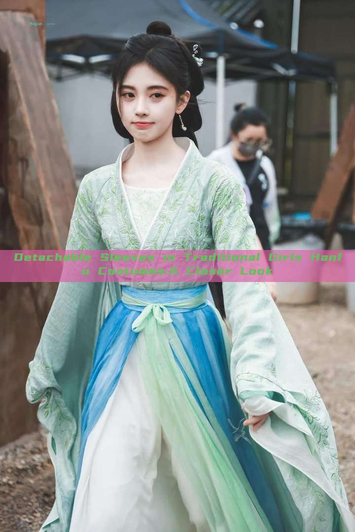 Detachable Sleeves in Traditional Girls Hanfu Costumes:A Closer Look Detachable Sleeves in Traditional Girls Hanfu Costumes:A Closer Look