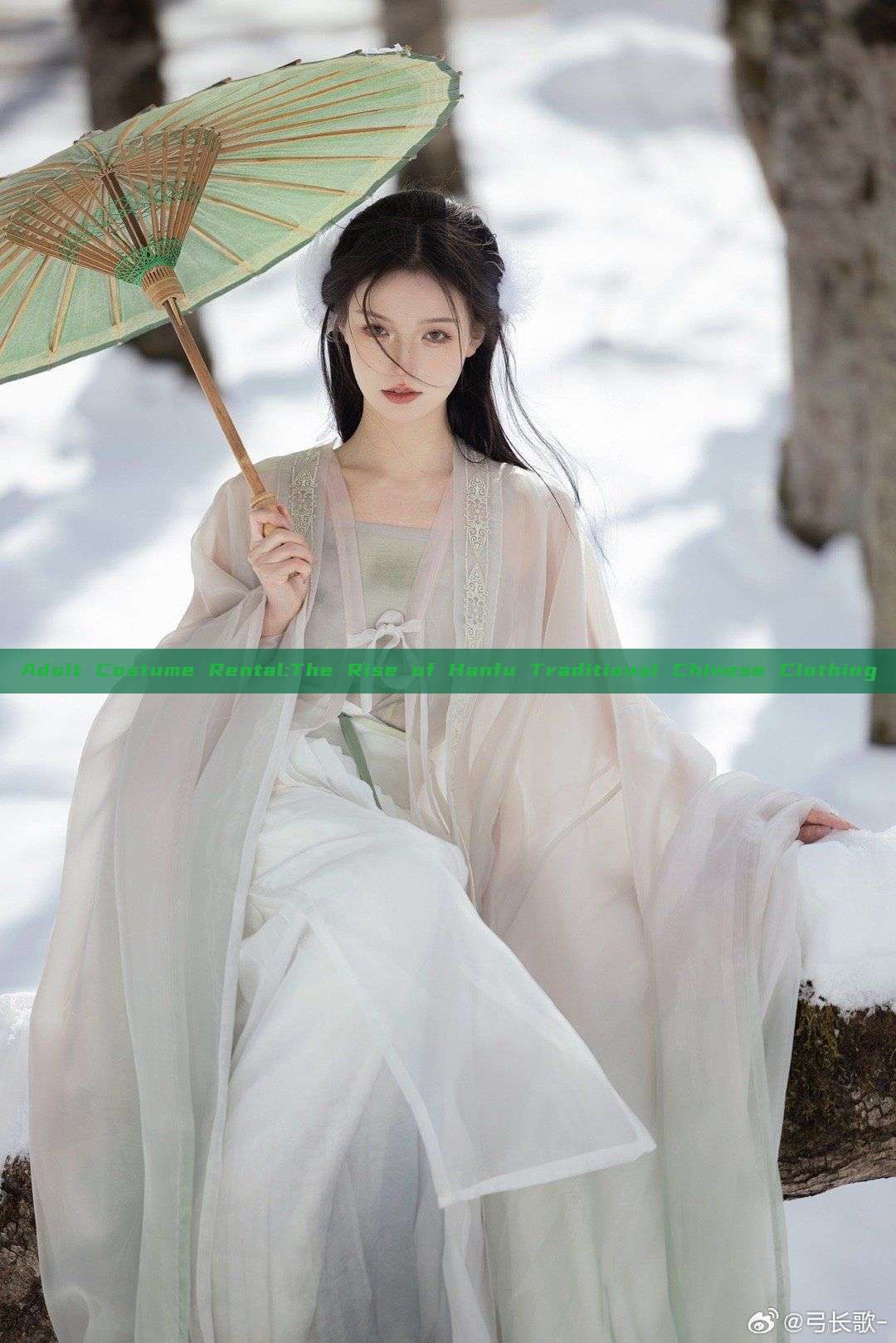 Adult Costume Rental:The Rise of Hanfu Traditional Chinese Clothing Adult Costume Rental:The Rise of Hanfu Traditional Chinese Clothing