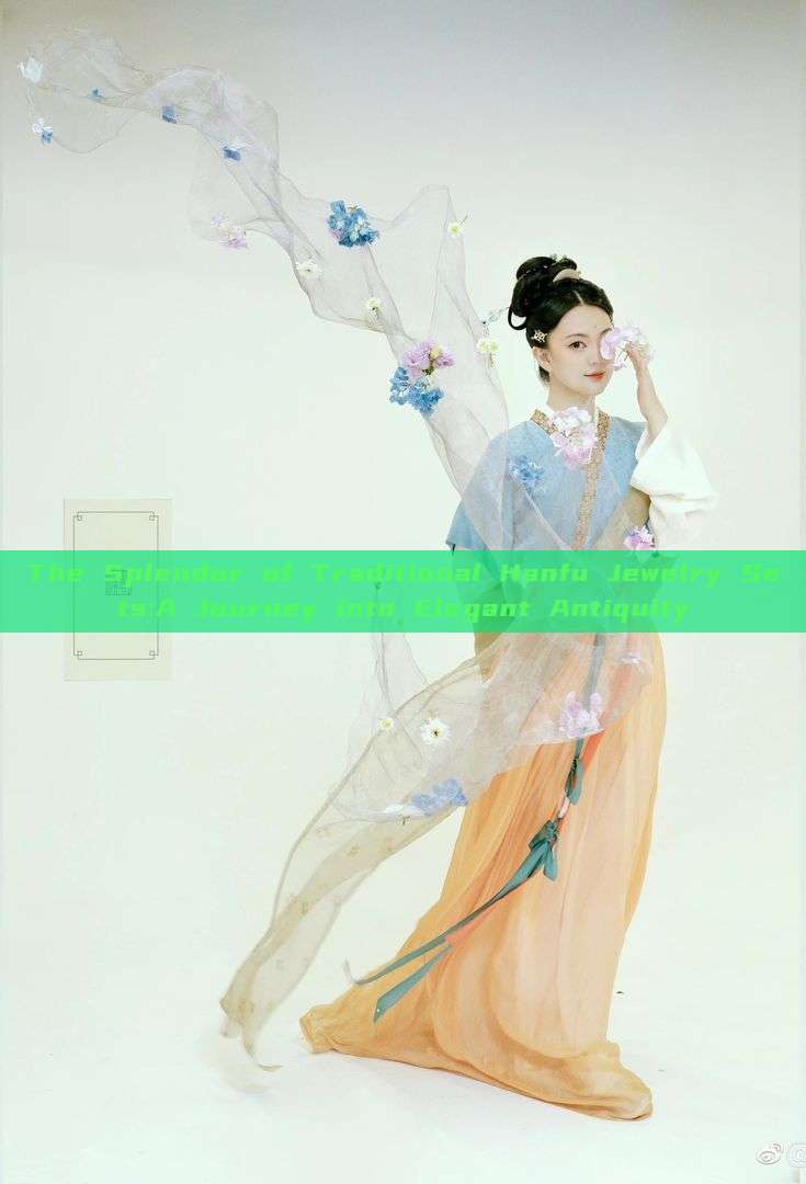 The Splendor of Traditional Hanfu Jewelry Sets:A Journey into Elegant Antiquity The Splendor of Traditional Hanfu Jewelry Sets:A Journey into Elegant Antiquity