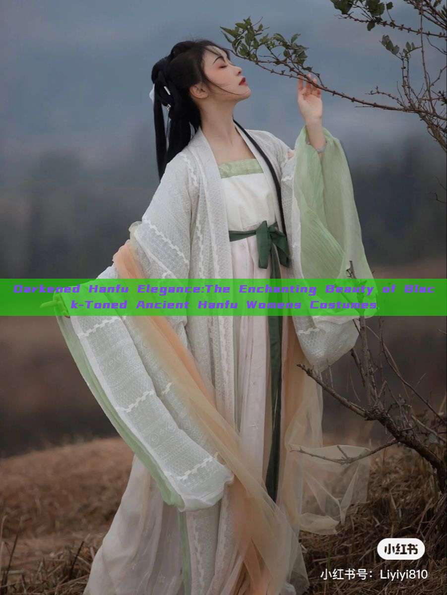 Darkened Hanfu Elegance:The Enchanting Beauty of Black-Toned Ancient Hanfu Womens Costumes Darkened Hanfu Elegance:The Enchanting Beauty of Black-Toned Ancient Hanfu Womens Costumes