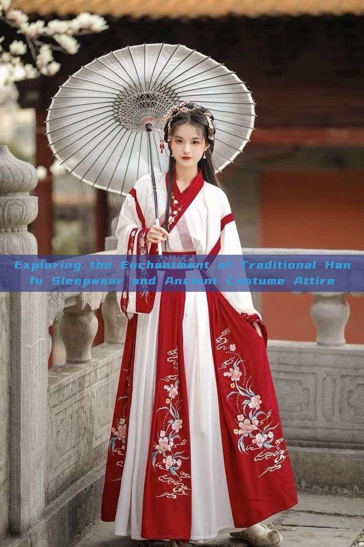 Exploring the Enchantment of Traditional Hanfu Sleepwear and Ancient Costume Attire Exploring the Enchantment of Traditional Hanfu Sleepwear and Ancient Costume Attire