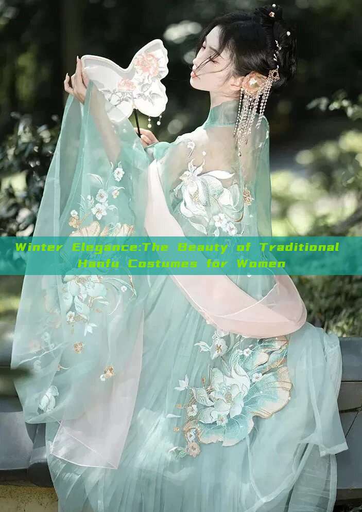 Winter Elegance:The Beauty of Traditional Hanfu Costumes for Women Winter Elegance:The Beauty of Traditional Hanfu Costumes for Women