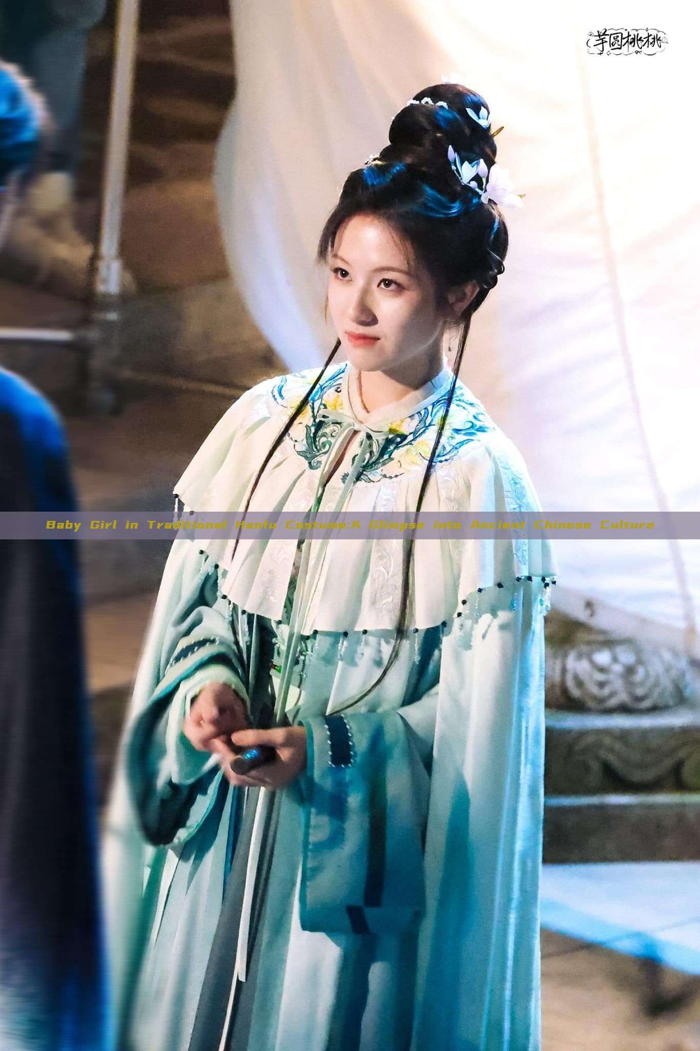 Baby Girl in Traditional Hanfu Costume:A Glimpse into Ancient Chinese Culture Baby Girl in Traditional Hanfu Costume:A Glimpse into Ancient Chinese Culture
