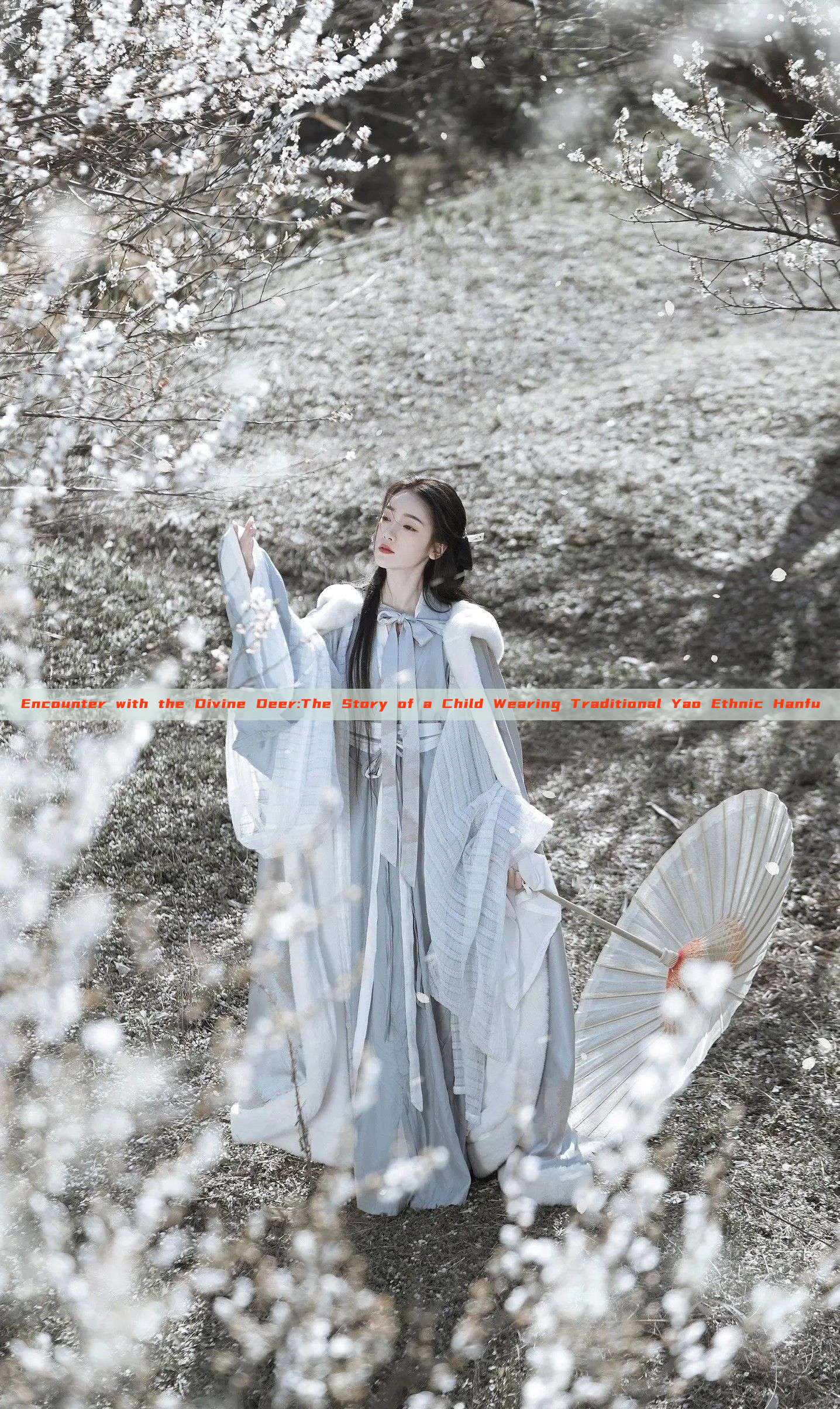 Encounter with the Divine Deer:The Story of a Child Wearing Traditional Yao Ethnic Hanfu Encounter with the Divine Deer:The Story of a Child Wearing Traditional Yao Ethnic Hanfu