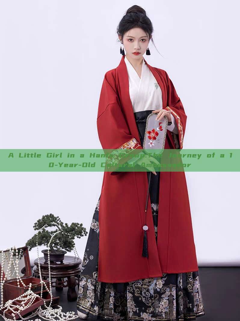 A Little Girl in a Hanfu Group:The Journey of a 10-Year-Old Cultural Ambassador A Little Girl in a Hanfu Group:The Journey of a 10-Year-Old Cultural Ambassador