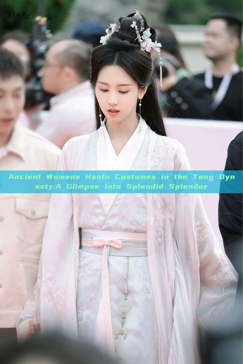 Ancient Womens Hanfu Costumes in the Tang Dynasty:A Glimpse into Splendid Splendor Ancient Womens Hanfu Costumes in the Tang Dynasty:A Glimpse into Splendid Splendor
