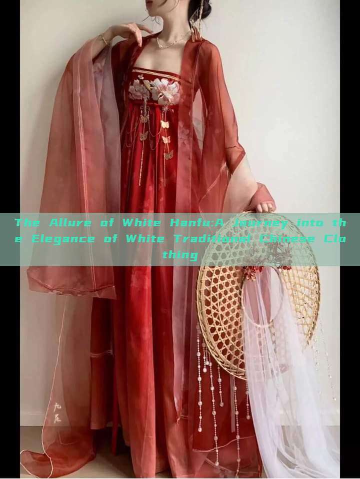 The Allure of White Hanfu:A Journey into the Elegance of White Traditional Chinese Clothing The Allure of White Hanfu:A Journey into the Elegance of White Traditional Chinese Clothing