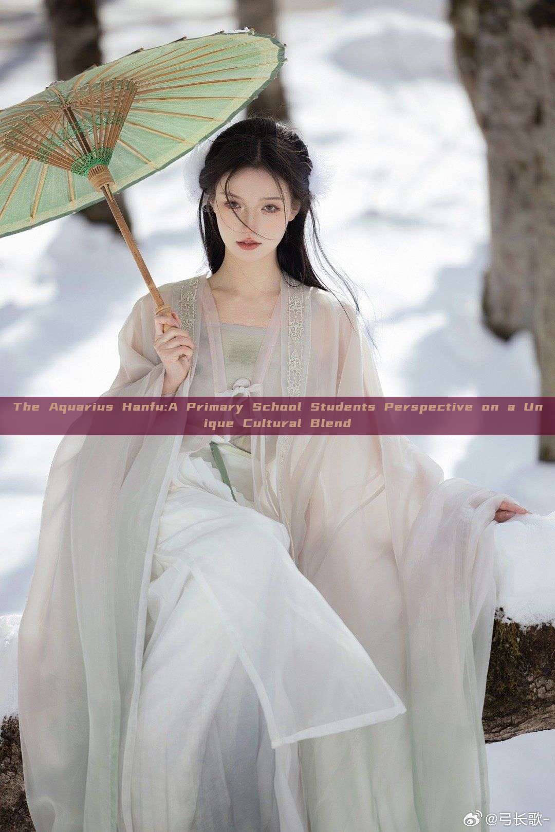 The Aquarius Hanfu:A Primary School Students Perspective on a Unique Cultural Blend The Aquarius Hanfu:A Primary School Students Perspective on a Unique Cultural Blend