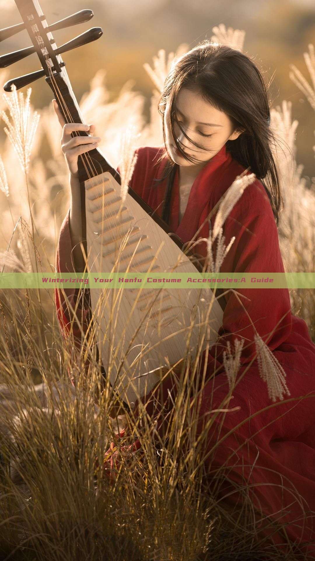 Winterizing Your Hanfu Costume Accessories:A Guide Winterizing Your Hanfu Costume Accessories:A Guide