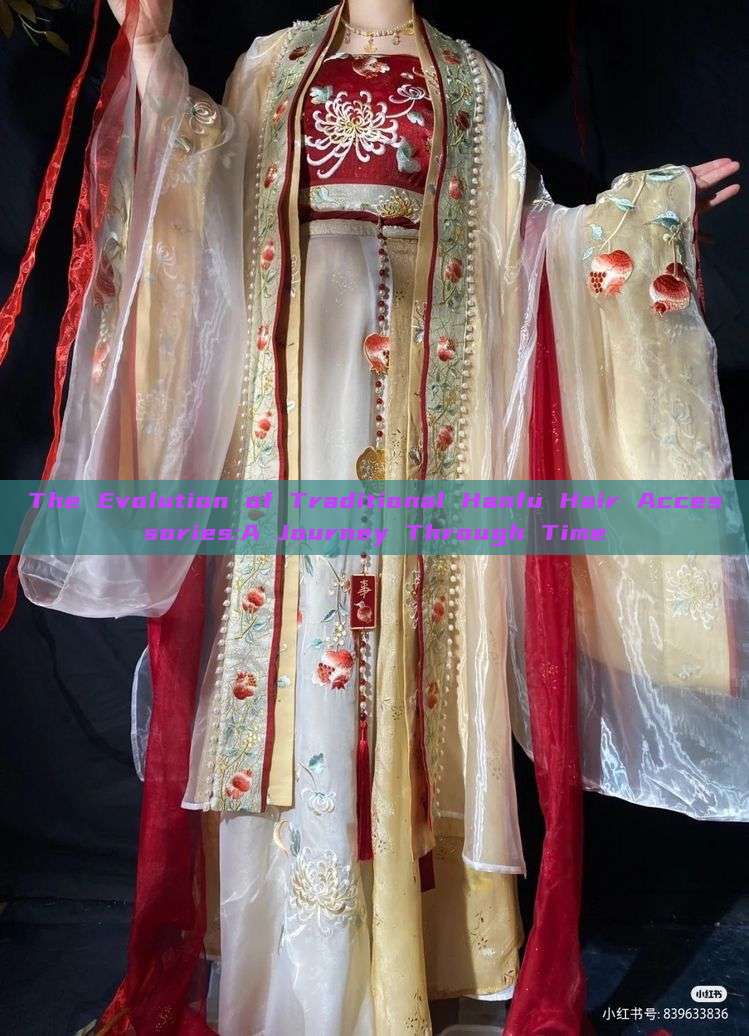 The Evolution of Traditional Hanfu Hair Accessories:A Journey Through Time The Evolution of Traditional Hanfu Hair Accessories:A Journey Through Time