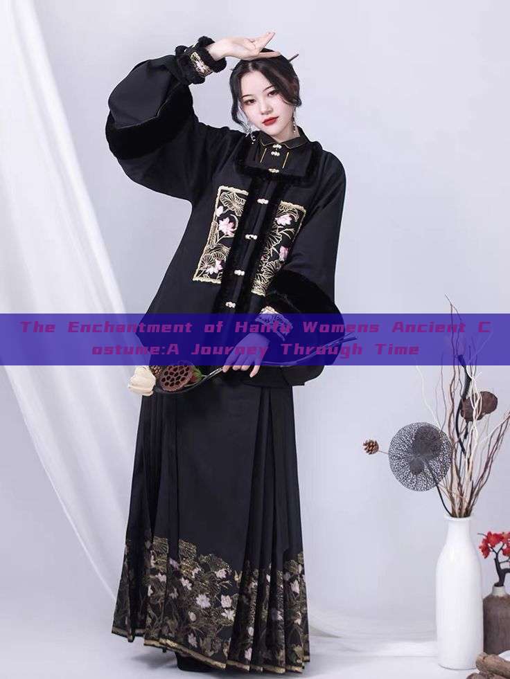 The Enchantment of Hanfu Womens Ancient Costume:A Journey Through Time The Enchantment of Hanfu Womens Ancient Costume:A Journey Through Time