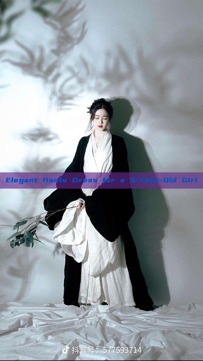 Elegant Hanfu Dress for a 5-Year-Old Girl Elegant Hanfu Dress for a 5-Year-Old Girl