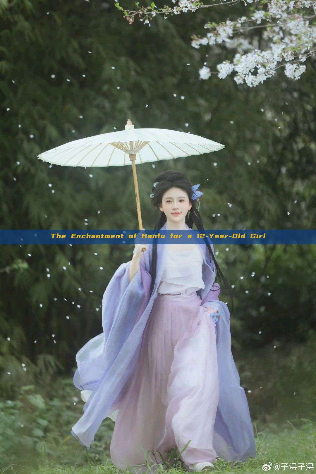 The Enchantment of Hanfu for a 12-Year-Old Girl The Enchantment of Hanfu for a 12-Year-Old Girl