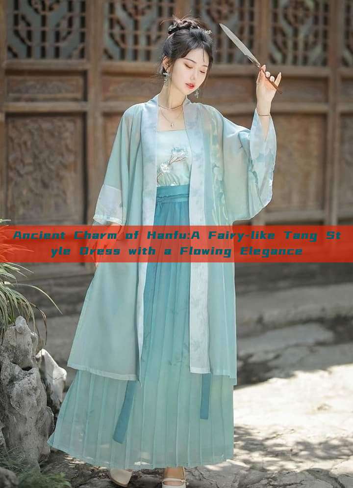 Ancient Charm of Hanfu:A Fairy-like Tang Style Dress with a Flowing Elegance Ancient Charm of Hanfu:A Fairy-like Tang Style Dress with a Flowing Elegance