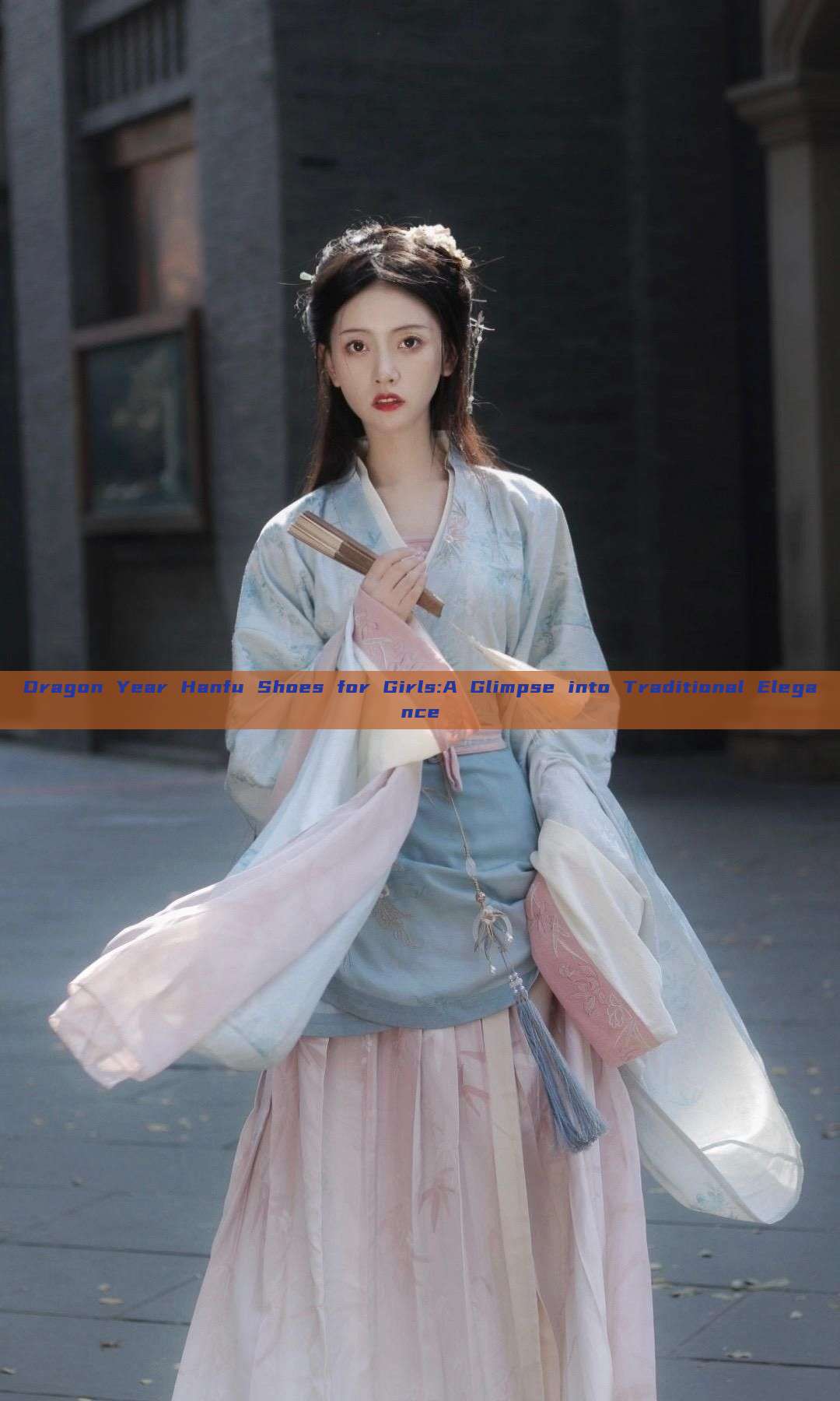 Dragon Year Hanfu Shoes for Girls:A Glimpse into Traditional Elegance