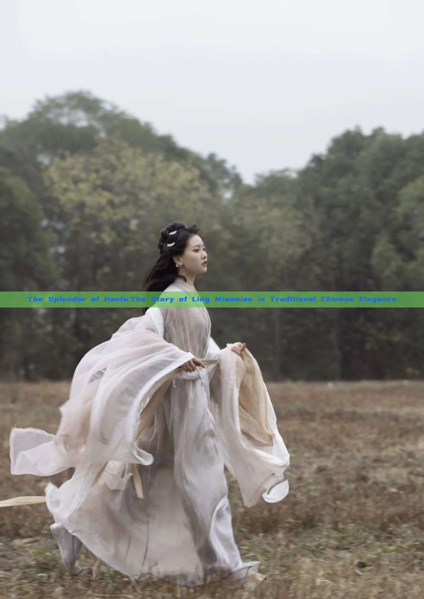 The Splendor of Hanfu:The Story of Ling Miaomiao in Traditional Chinese Elegance The Splendor of Hanfu:The Story of Ling Miaomiao in Traditional Chinese Elegance