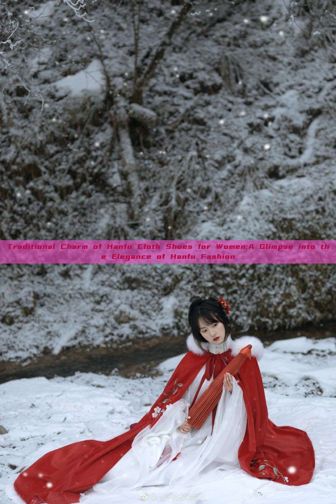 Traditional Charm of Hanfu Cloth Shoes for Women:A Glimpse into the Elegance of Hanfu Fashion