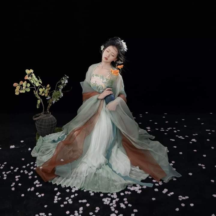 Traditional Tang-Style Girls Costumes and Wigs:A Blend of Culture and Fashion Traditional Tang-Style Girls Costumes and Wigs:A Blend of Culture and Fashion