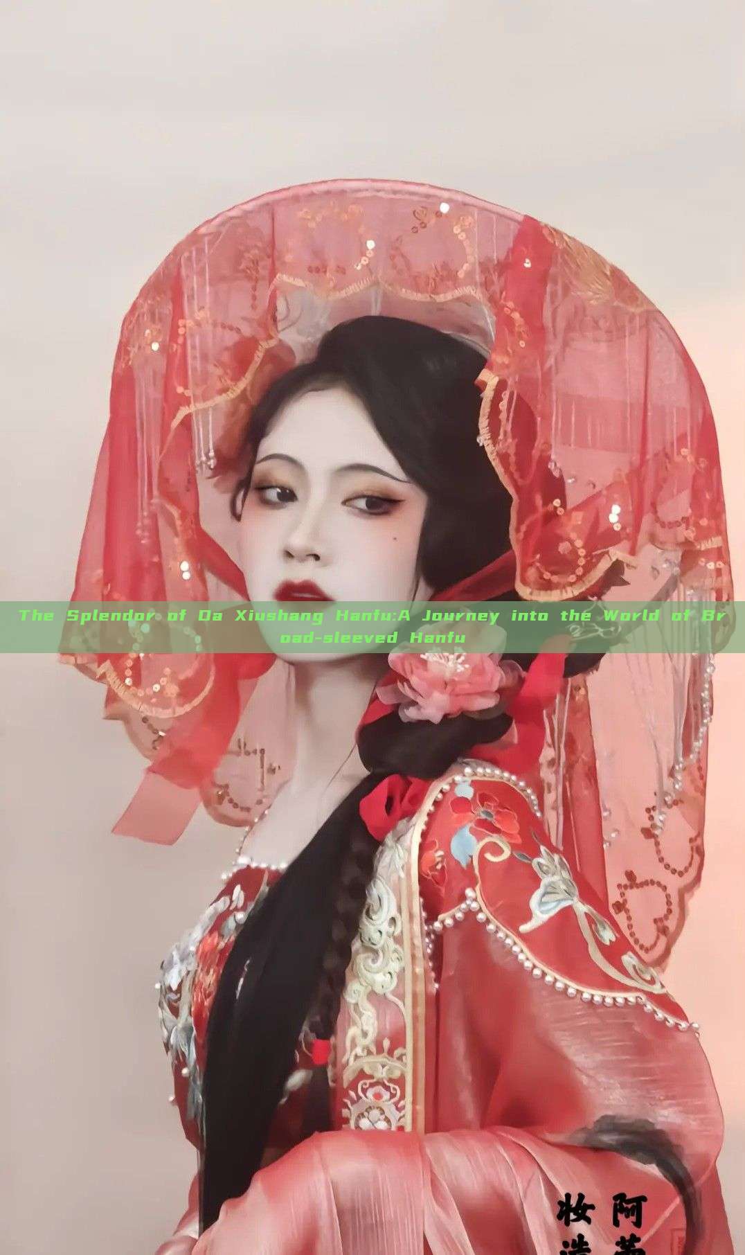 The Splendor of Da Xiushang Hanfu:A Journey into the World of Broad-sleeved Hanfu