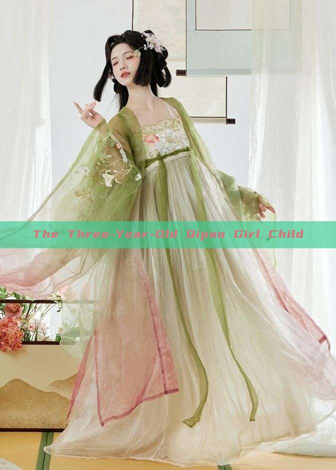 The Three-Year-Old Qipao Girl Child The Three-Year-Old Qipao Girl Child