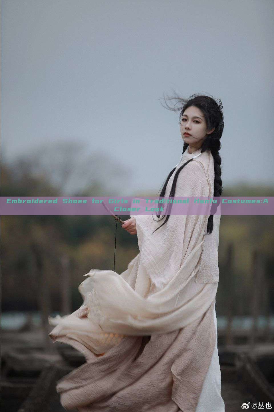 Embroidered Shoes for Girls in Traditional Hanfu Costumes:A Closer Look Embroidered Shoes for Girls in Traditional Hanfu Costumes:A Closer Look