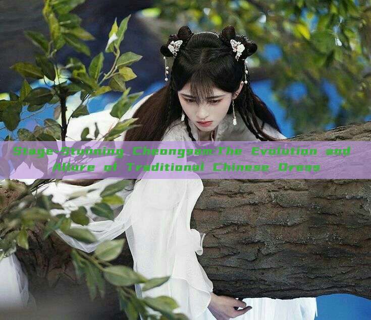 Stage-Stunning Cheongsam:The Evolution and Allure of Traditional Chinese Dress