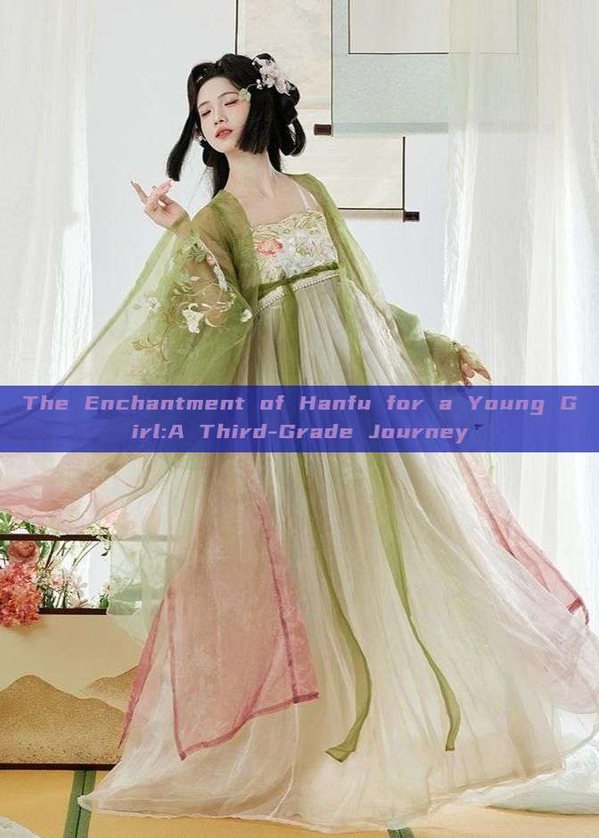 The Enchantment of Hanfu for a Young Girl:A Third-Grade Journey The Enchantment of Hanfu for a Young Girl:A Third-Grade Journey