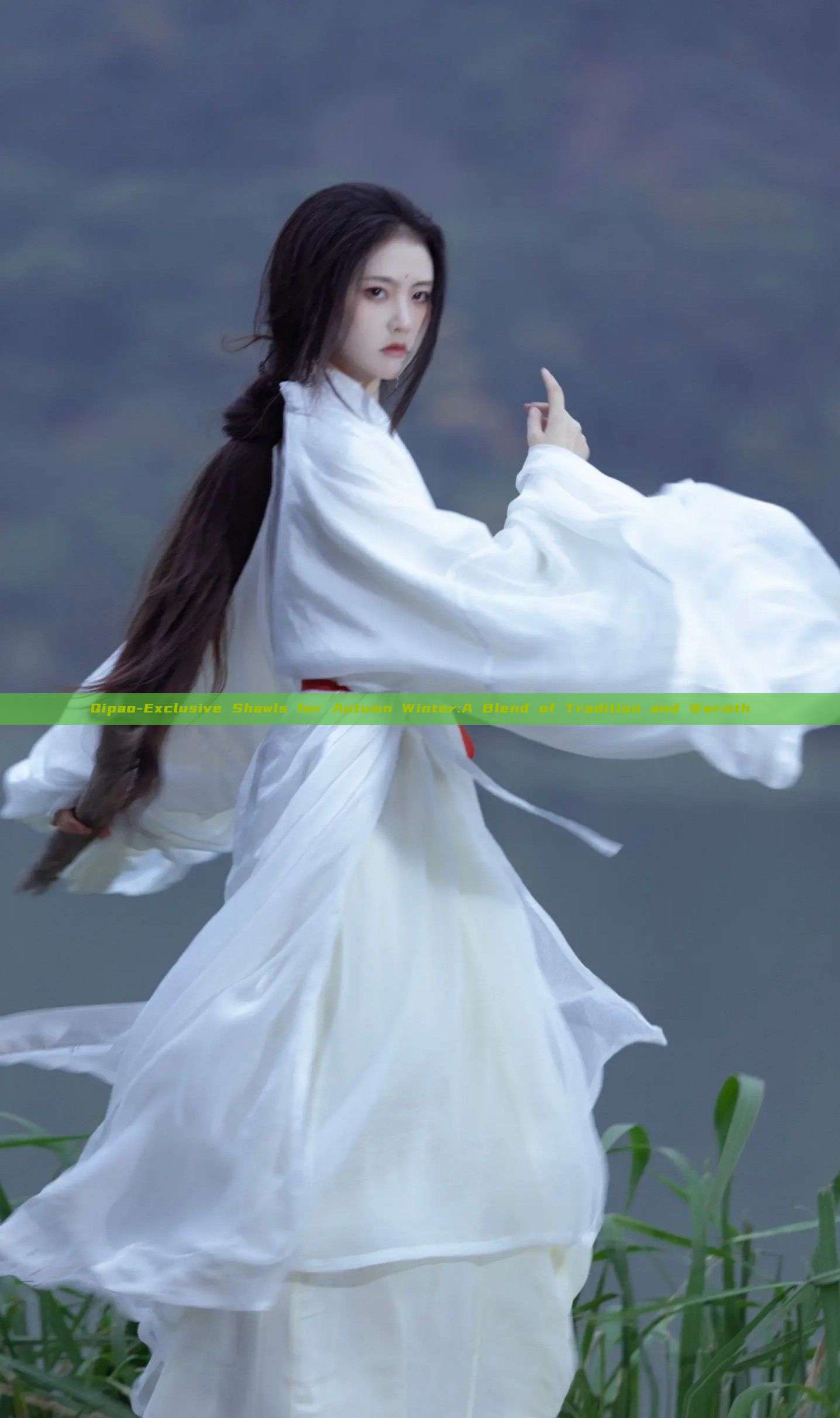 Qipao-Exclusive Shawls for Autumn Winter:A Blend of Tradition and Warmth Qipao-Exclusive Shawls for Autumn Winter:A Blend of Tradition and Warmth