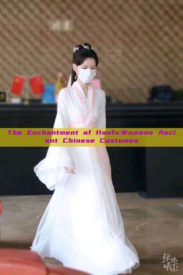 The Enchantment of Hanfu:Womens Ancient Chinese Costumes The Enchantment of Hanfu:Womens Ancient Chinese Costumes