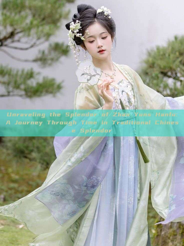 Unraveling the Splendor of Zhao Yuns Hanfu:A Journey Through Time in Traditional Chinese Splendor