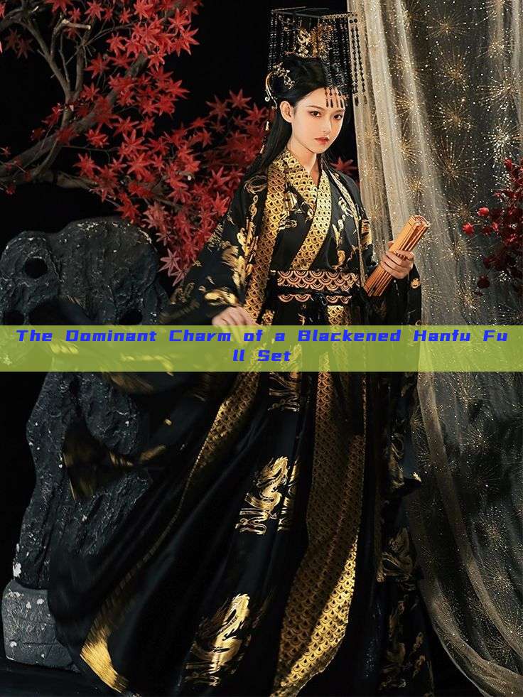 The Dominant Charm of a Blackened Hanfu Full Set The Dominant Charm of a Blackened Hanfu Full Set