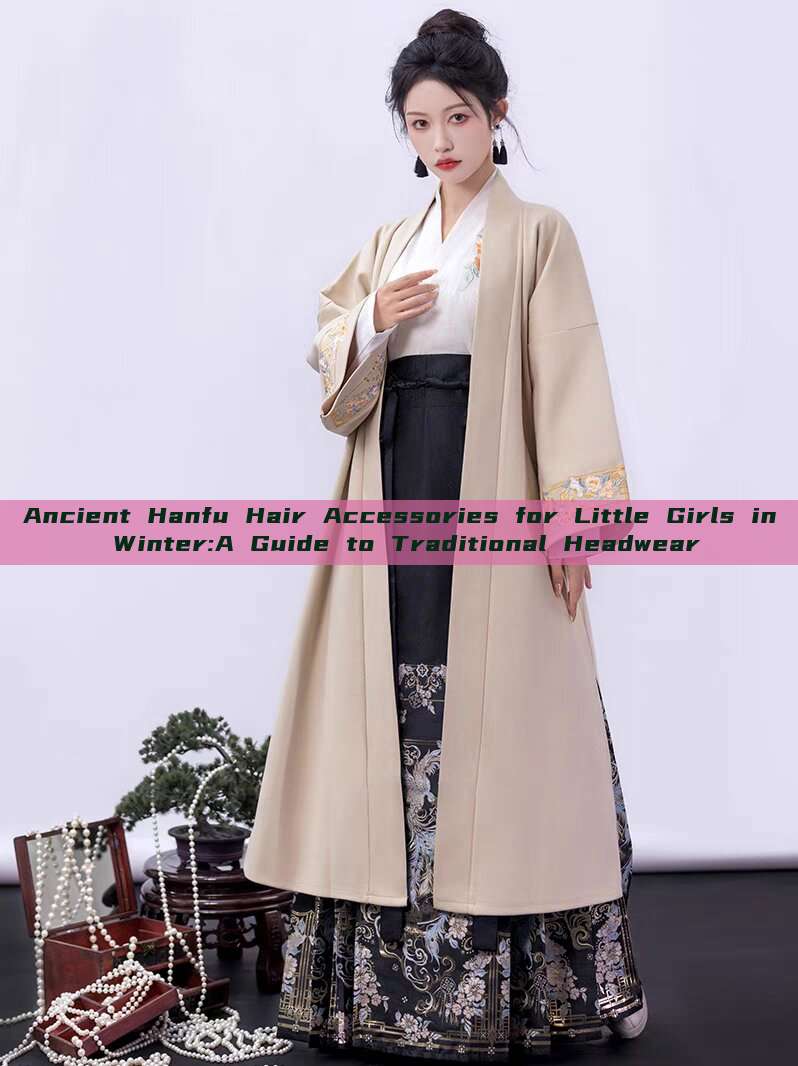 Ancient Hanfu Hair Accessories for Little Girls in Winter:A Guide to Traditional Headwear Ancient Hanfu Hair Accessories for Little Girls in Winter:A Guide to Traditional Headwear