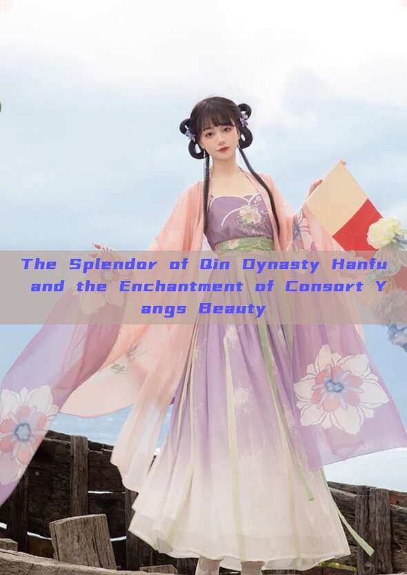 The Splendor of Qin Dynasty Hanfu and the Enchantment of Consort Yangs Beauty The Splendor of Qin Dynasty Hanfu and the Enchantment of Consort Yangs Beauty