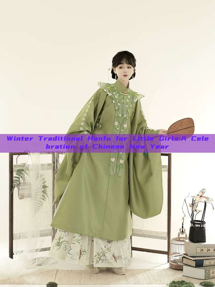 Winter Traditional Hanfu for Little Girls:A Celebration of Chinese New Year Winter Traditional Hanfu for Little Girls:A Celebration of Chinese New Year