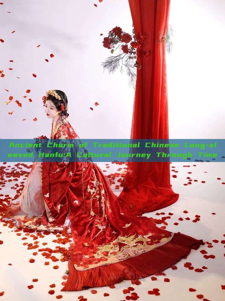 Ancient Charm of Traditional Chinese Long-sleeved Hanfu:A Cultural Journey Through Time Ancient Charm of Traditional Chinese Long-sleeved Hanfu:A Cultural Journey Through Time