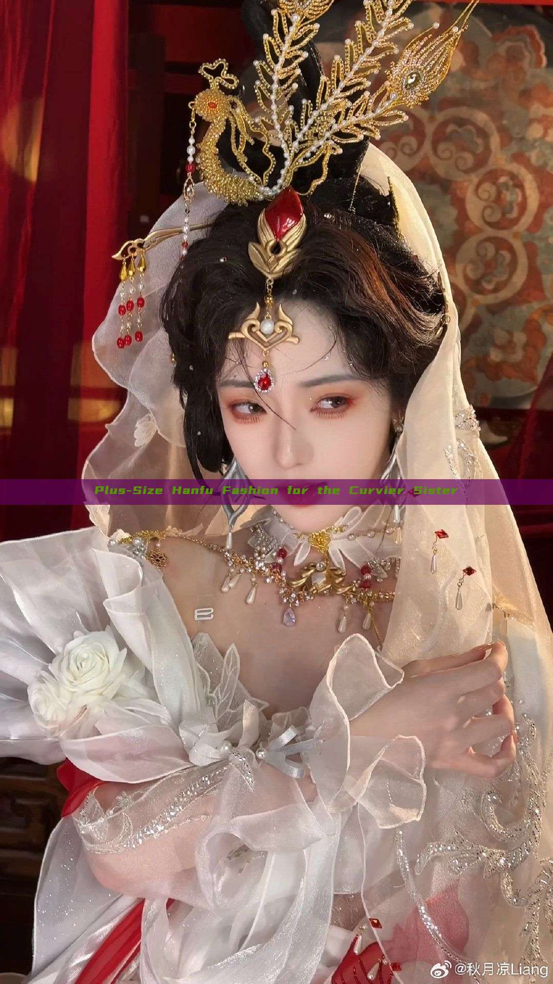 Plus-Size Hanfu Fashion for the Curvier Sister Plus-Size Hanfu Fashion for the Curvier Sister