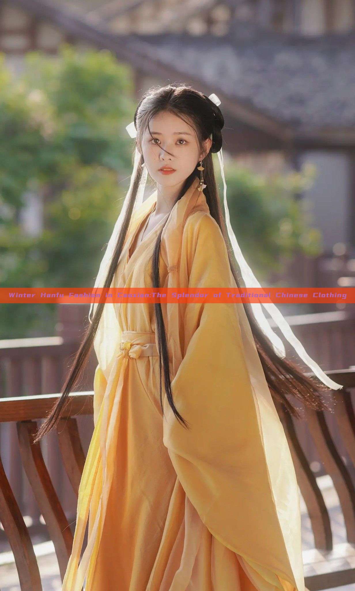 Winter Hanfu Fashion in Caoxian:The Splendor of Traditional Chinese Clothing Winter Hanfu Fashion in Caoxian:The Splendor of Traditional Chinese Clothing