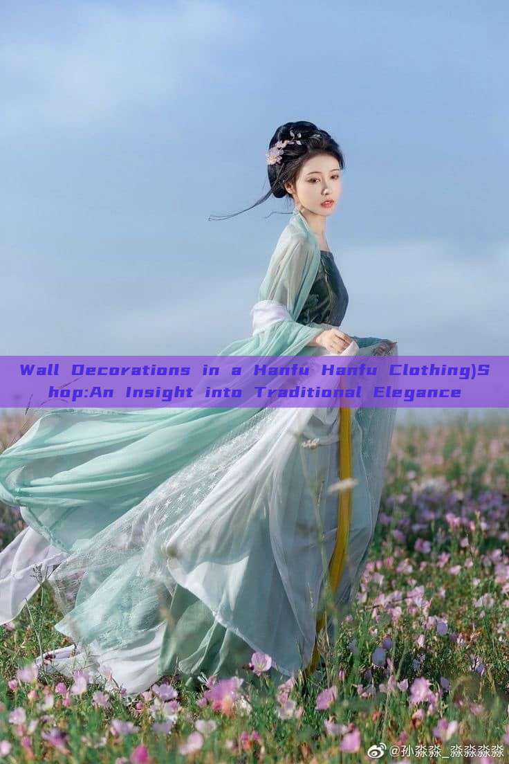 Wall Decorations in a Hanfu Hanfu Clothing)Shop:An Insight into Traditional Elegance